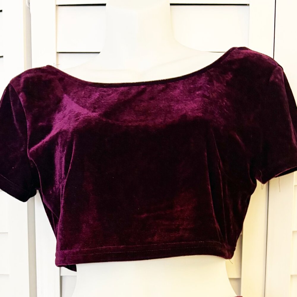Velvet Crop Top ~ Holiday Gem!